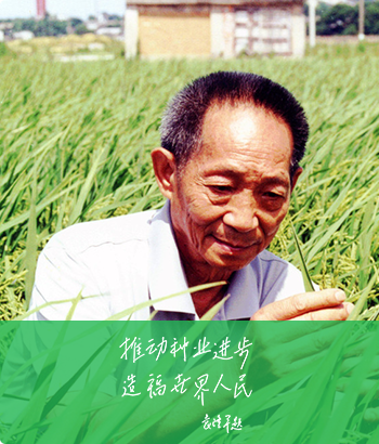 企業(yè)簡(jiǎn)介